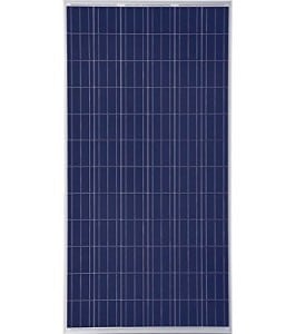 Waaree 100 Watt solar PV module